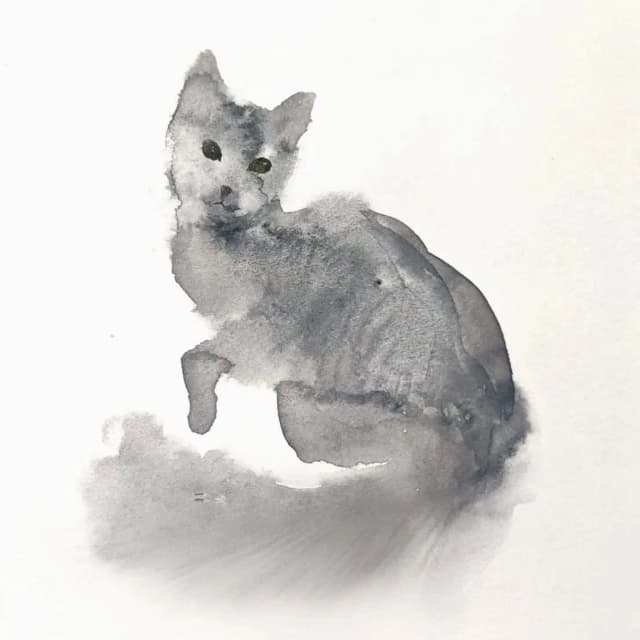 cat