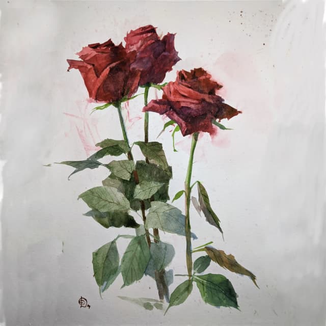 rose